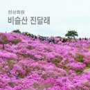 천상화원, 비슬산 대견봉 원점회귀 이미지