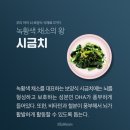 푸드아이 이미지