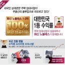 화신노블레스 2차 이미지