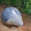 대부해솔길 1코스 이미지