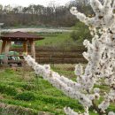 풀잎농장 이미지