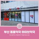 하이브약국 이미지