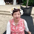 짚라인 타는 산골마을 | 엄마랑 치앙마이2(코끼리쇼, 짚라인, 수영, 툭툭이)