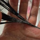 카이로컨디셔닝 이미지