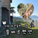 거제 애견동반 여행 단체펜션 오션뷰 쏠베르펜션