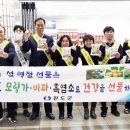 완도바다그대로 이미지