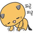 해밀학원 - 세종특별자치시 새롬중앙로 33 | 해밀학원