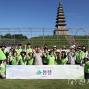 새마을운동, 인류공동의 행복을 위한 아름다운 동행 | 한국인 이만희 평화실화 FOCUS│HWPL 뉴스레터(66)] HWPL, 산불 피해 지역 회복에도 시민과 ‘동행’