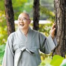 의료법인 연꽃마을 파라밀병원 네이버블로그
