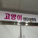 고양이살롱앤카페 이미지