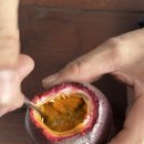 은혜과일 이미지