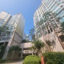 골드 마운틴77 이미지