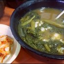 반주 Daum카페
