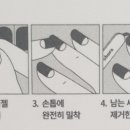 에프에이세미 이미지