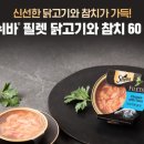 야옹아멍멍해봐단관점