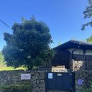 제월 | [제주도/애월] 제월연가 | 제주 애월 감성 숙소 | 제주 애월 자쿠지 숙소 | 애월 독채 숙소 추천...