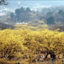 4월 11일 이천 원적산,천덕봉 산행공지 이미지