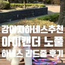 노*준 | 강아지하네스추천 산책 습관 잡아준 아이캔더 노풀 하네스+리드줄 후기