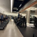 웰앤피트니스 강남지점 | [서울] 언주역 헬스장 프리미엄 럭셔리 웰앤피트니스 강남점 후기