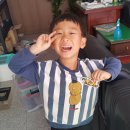 라피스게코 이미지