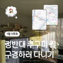 와플반트 | [260111~0117] : 정반대 추구미 집 구경하러 다니기 | 1월 3 주차 네덜란드 헤이그 로테르담 일상 및...