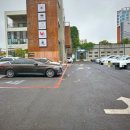 제주도흑돼지 이미지