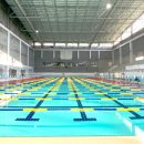 [수원] 스포츠아일랜드 수영 성인강습 월수금 19시~21시...