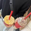 렌즈아울렛(호호렌즈) 이미지