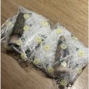 나는 이렇게 살 겁니다. (2)