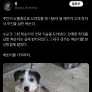 개화(아) Daum카페