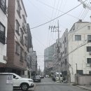 둔산속편한내과영상의학과의원 | 11얼 5일: 키가 컸다.