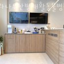 서해동물병원 이미지