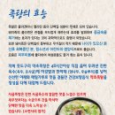 돗도구리