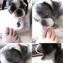 동인당한의원 이미지