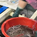 율포회센터 | [보성맛집] 율포해수욕장 근처 포장 회센터, 율포회센터 방문후기