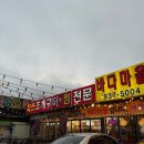 바다마을 | 인천 강화도 바다마을 조개구이 활어회 가성비 맛집 내돈내산 후기