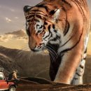 영천남부공인중개사사무소 이미지