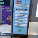 웰리힐리 워터플래닛 다녀온 솔직후기 🌊(미들시즌)