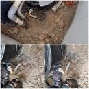 서산농협미곡종합처리장 이미지