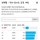 오늘의 꼬맨틀 이미지