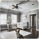 안동시주민건강지원센터 | 영주 유기견보호센터 강아지파양방법 이웃의 경험에서 배운 교훈