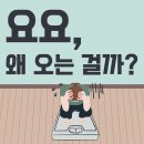 요요정원 | 요요, 왜 오는 걸까?