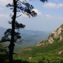 오송우리주유소 네이버블로그