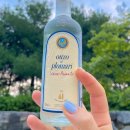 플로마리 이미지
