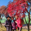 아차산 동행숲길 이미지