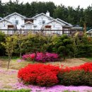 골든코스트 이미지