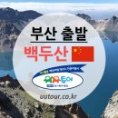 (주)천지항공여행사 이미지