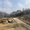 지금관광농원 이미지