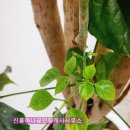 수정이엔씨 이미지
