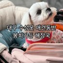 대구 수성못 애견동반 식당 봉희가든에서 해장국/수성못 애견동반
